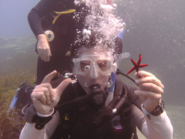 divers underwater