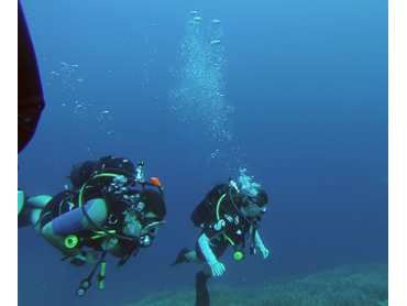 divers in a trip